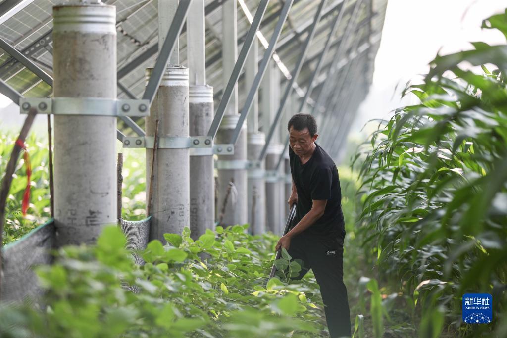 凤凰游戏网